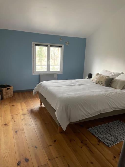 Ferienhaus Maison Proche Du !